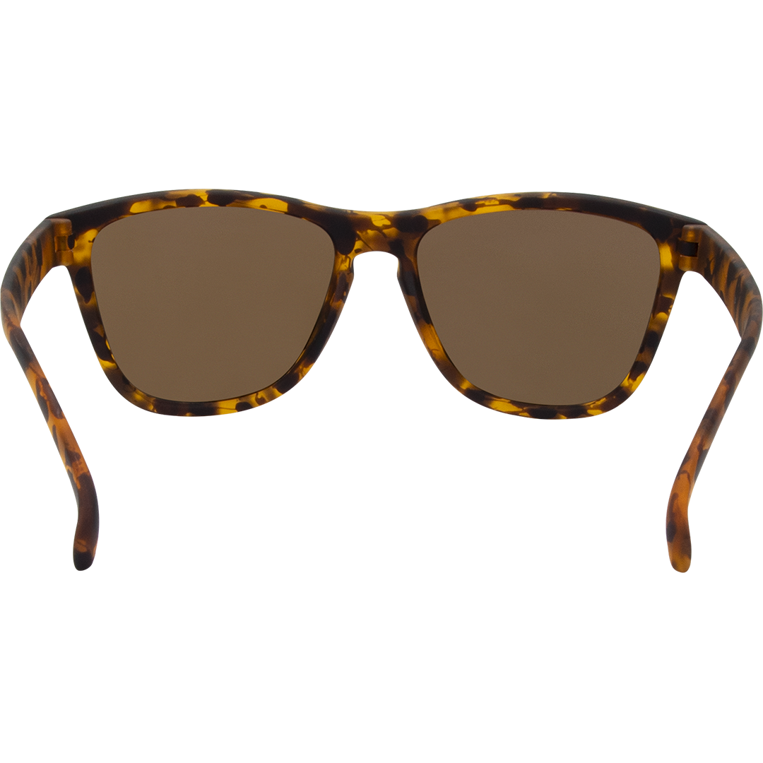 Gritty Polarised Wayfarer Mirrored Sunglasses with Tort Frame and Brown Lens inside view
