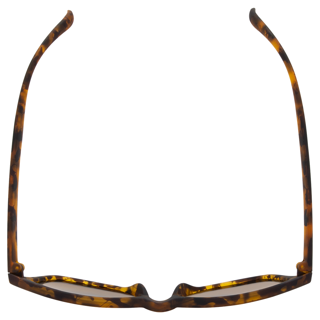 Gritty Polarised Wayfarer Mirrored Sunglasses with Tort Frame and Brown Lens top view